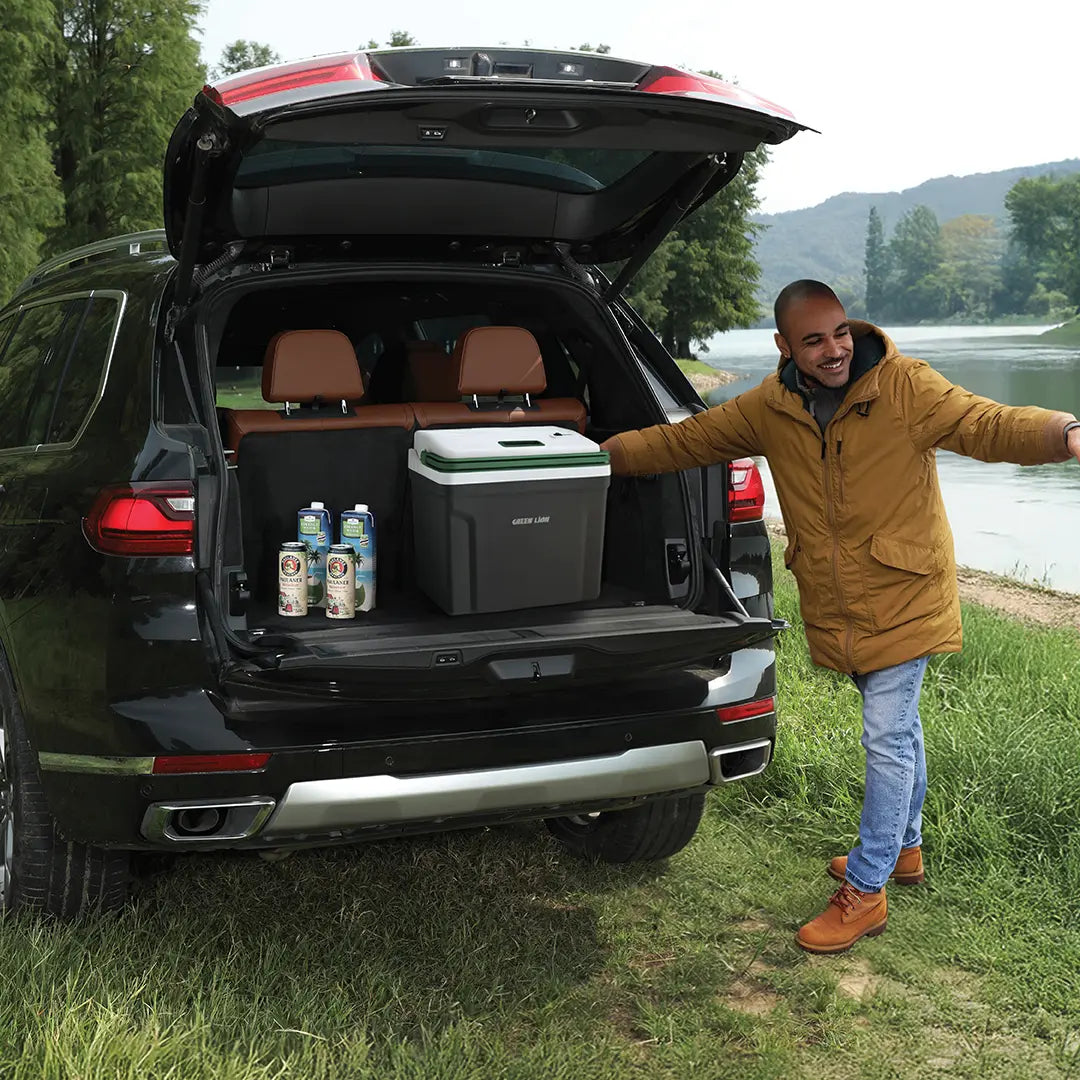 Green Lion Highway Electric Heating and Cooling Fridge - Black