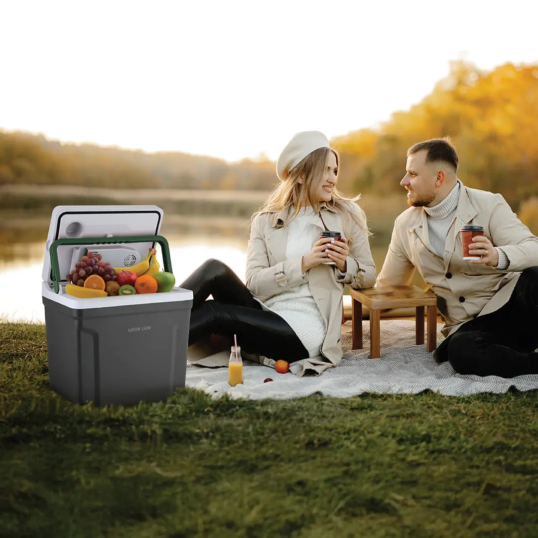 Green Lion Highway Electric Heating and Cooling Fridge - Black