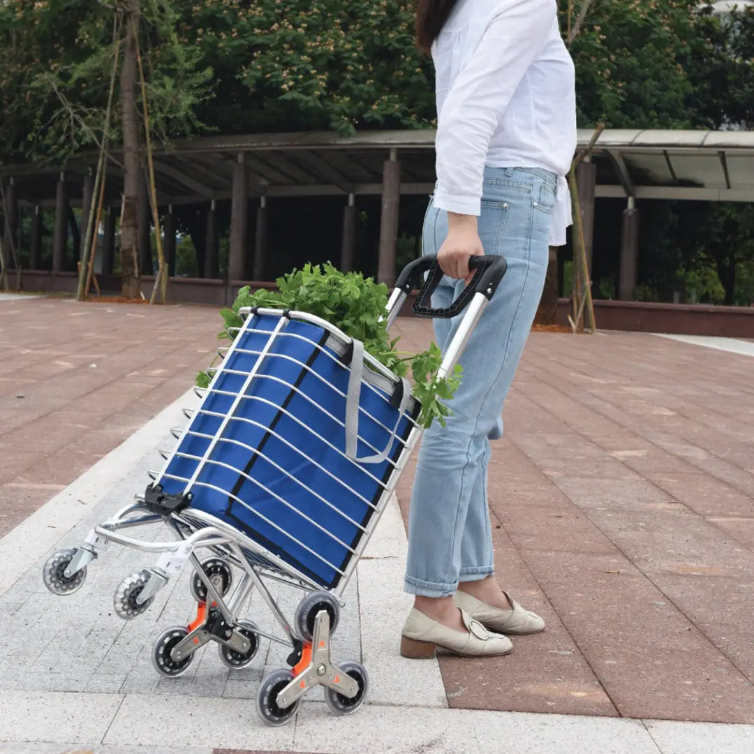 Green Lion Foldable Shopping Trolley - Silver