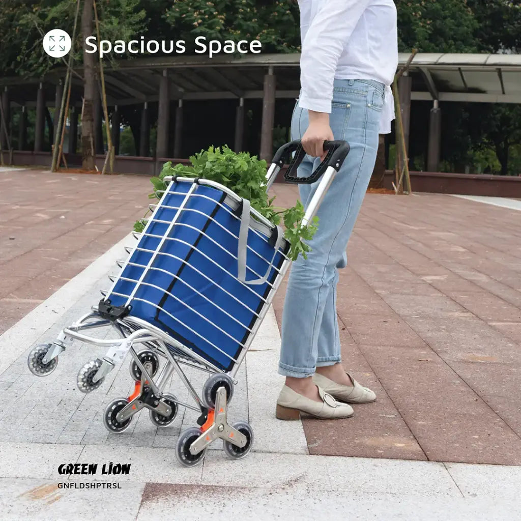 Green Lion Foldable Shopping Trolley - Silver